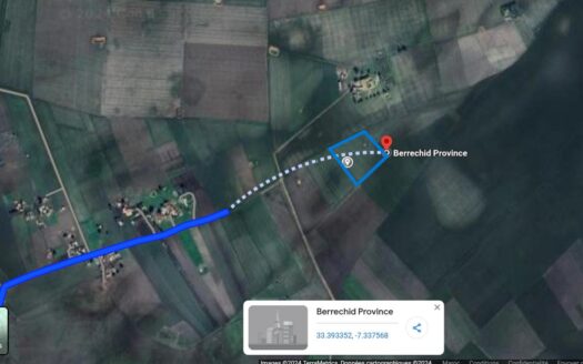 Terrain Agricole de 2,5Ha à Vendre à Oulad Zidane