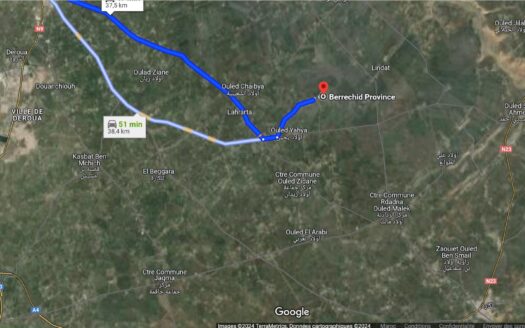 Terrain Agricole de 2,5Ha à Vendre à Oulad Zidane