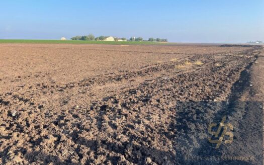 Terrain Agricole de 2,5Ha à Vendre à Médiouna (Oulad Zidane)